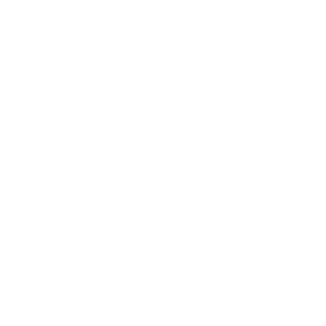 ERPvio Odoo ERP Logo